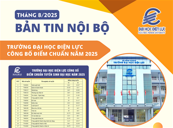 Bản tin nội bộ số 13